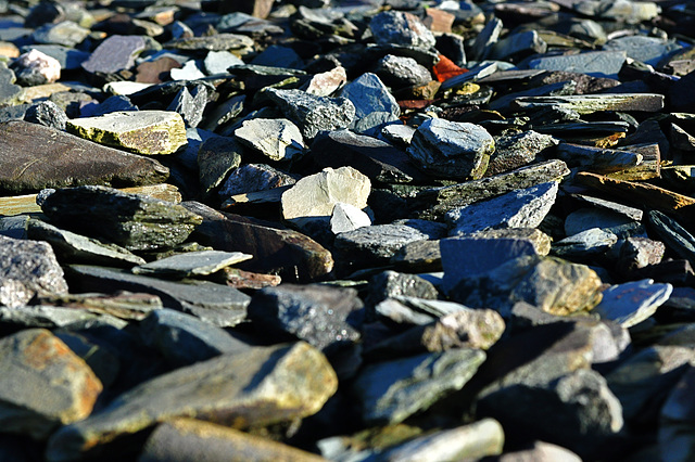 Winter Sunlight on Stones