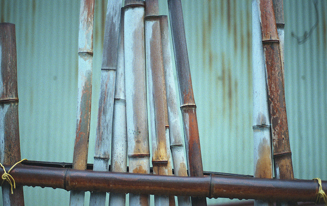 Bamboo fence needs repair