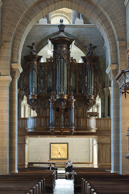 Organ