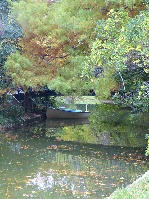 ...féérie d'automne,pour vous souhaiter une très belle semaine...