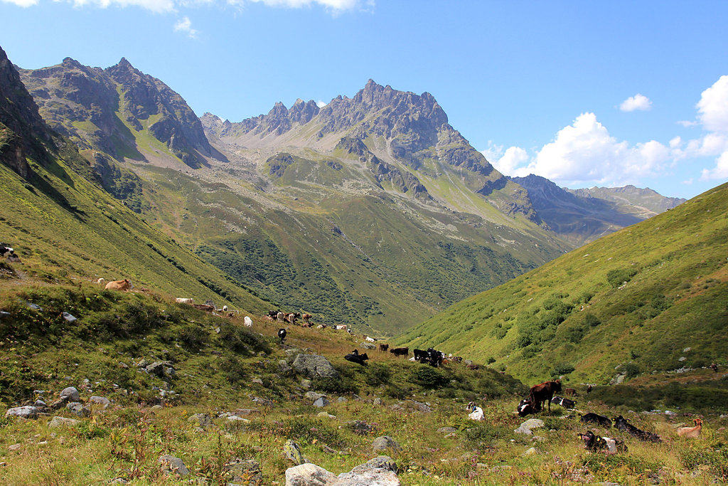 auf dem Weg ins Tal