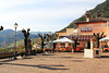 Tremosine