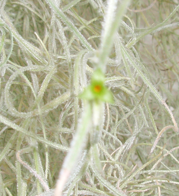 PC013974-1