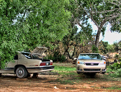 Backyard Mechanics