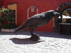 Corbeau géant et tequila  / Tequila and gigantic raven / Tequila y cuervo gigante - 23 mars 2011