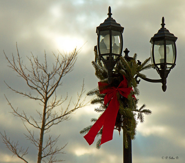 Noël approche... Noël approche...