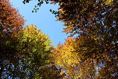 Herbst - Farbenpalette