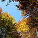 Herbst - Farbenpalette