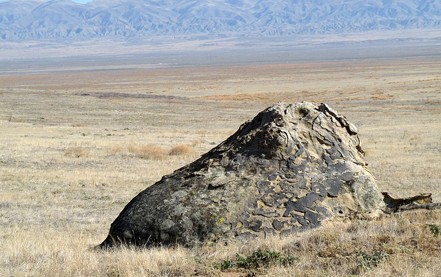 Near Painted Rock - Carrizo Plain National Monument (0874)