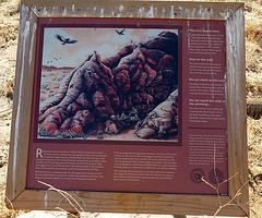 Painted Rock - Carrizo Plain National Monument (0872)