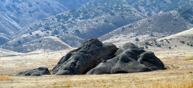 Painted Rock - Carrizo Plain National Monument (0873)