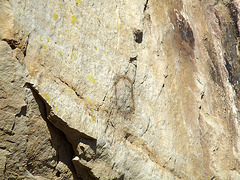 Painted Rock - Carrizo Plain National Monument (0881)