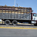 Camion d'agaves / Agaves truck - 23 mars 2011