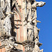 Siena - Dom - Fassade 2