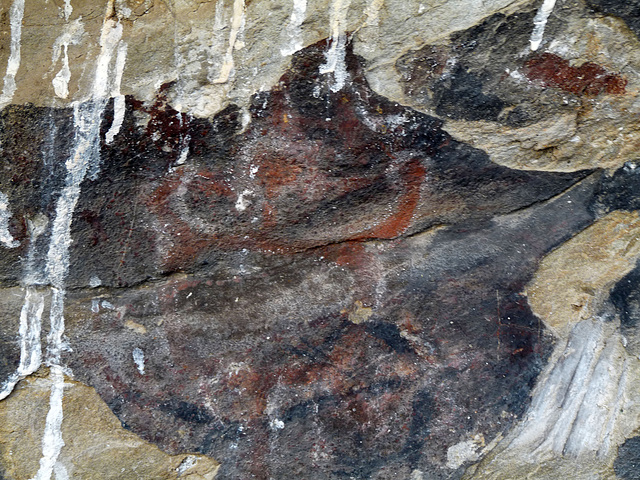 Painted Rock - Carrizo Plain National Monument (0892)