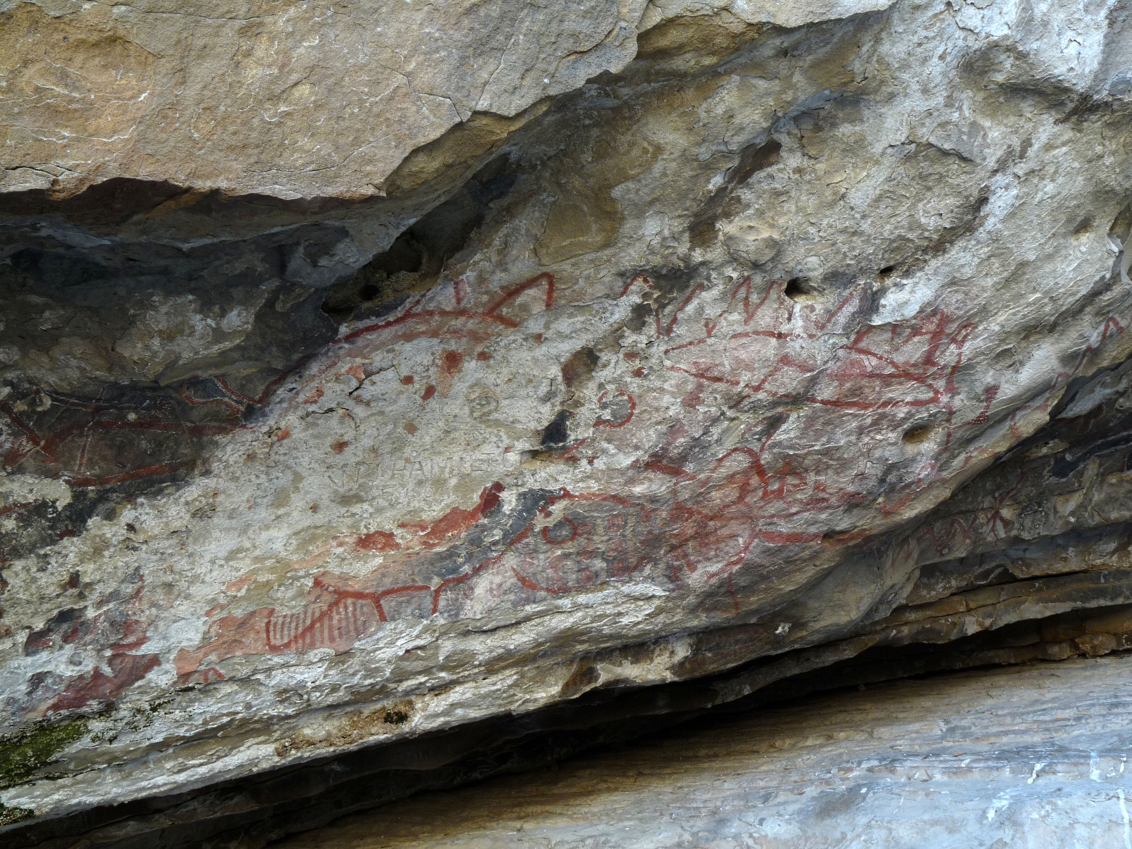 Painted Rock - Carrizo Plain National Monument (0895)