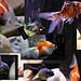 2011-11-09 les poissons aquarium
