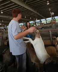 L.A. County Fair (0671)