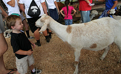 L.A. County Fair (0708)