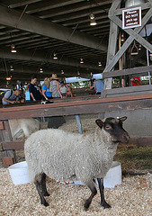 L.A. County Fair (0709)