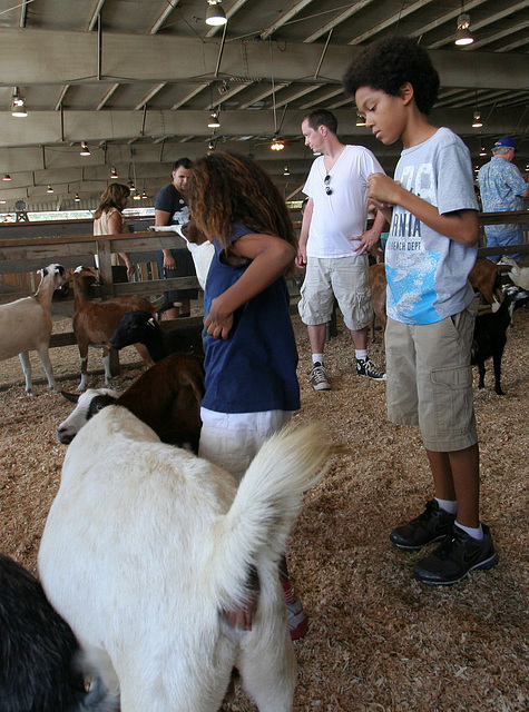 L.A. County Fair (0721)