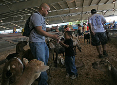 L.A. County Fair (0740)