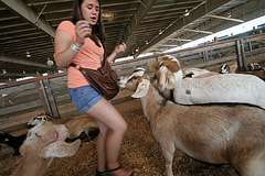 L.A. County Fair (0744)