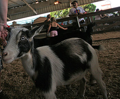 L.A. County Fair (0746)