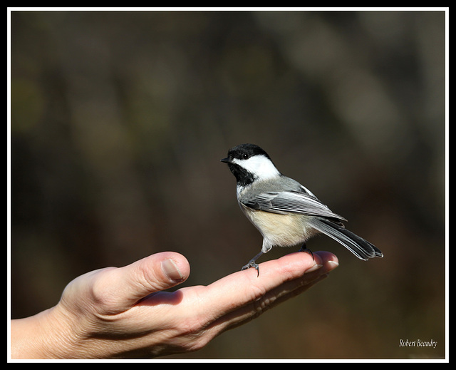 Moment de tendresse