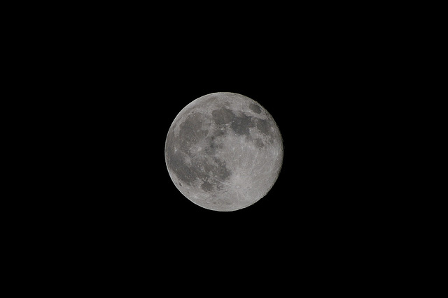 Lune du 13 novembre 2008