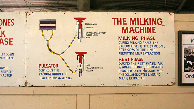 L.A. County Fair Milking Machine (0752)