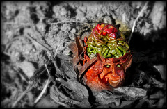 Troll de l'esprit de la rhubarbe