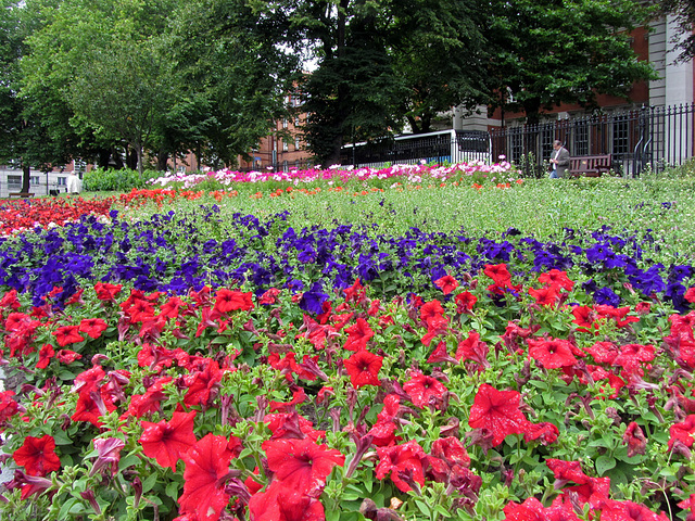 St. Patrick's Park