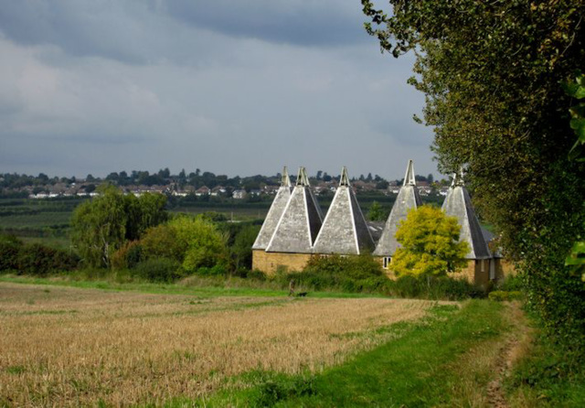 Hops Farm