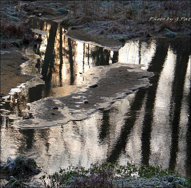 Creek taken by frost