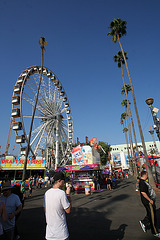 L.A. County Fair (0798)