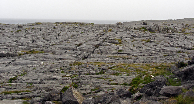 Burren-Coast