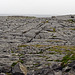 Burren-Coast