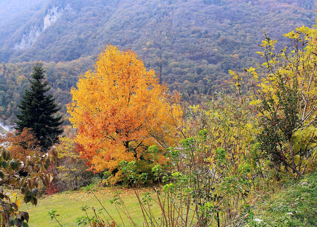Herbst