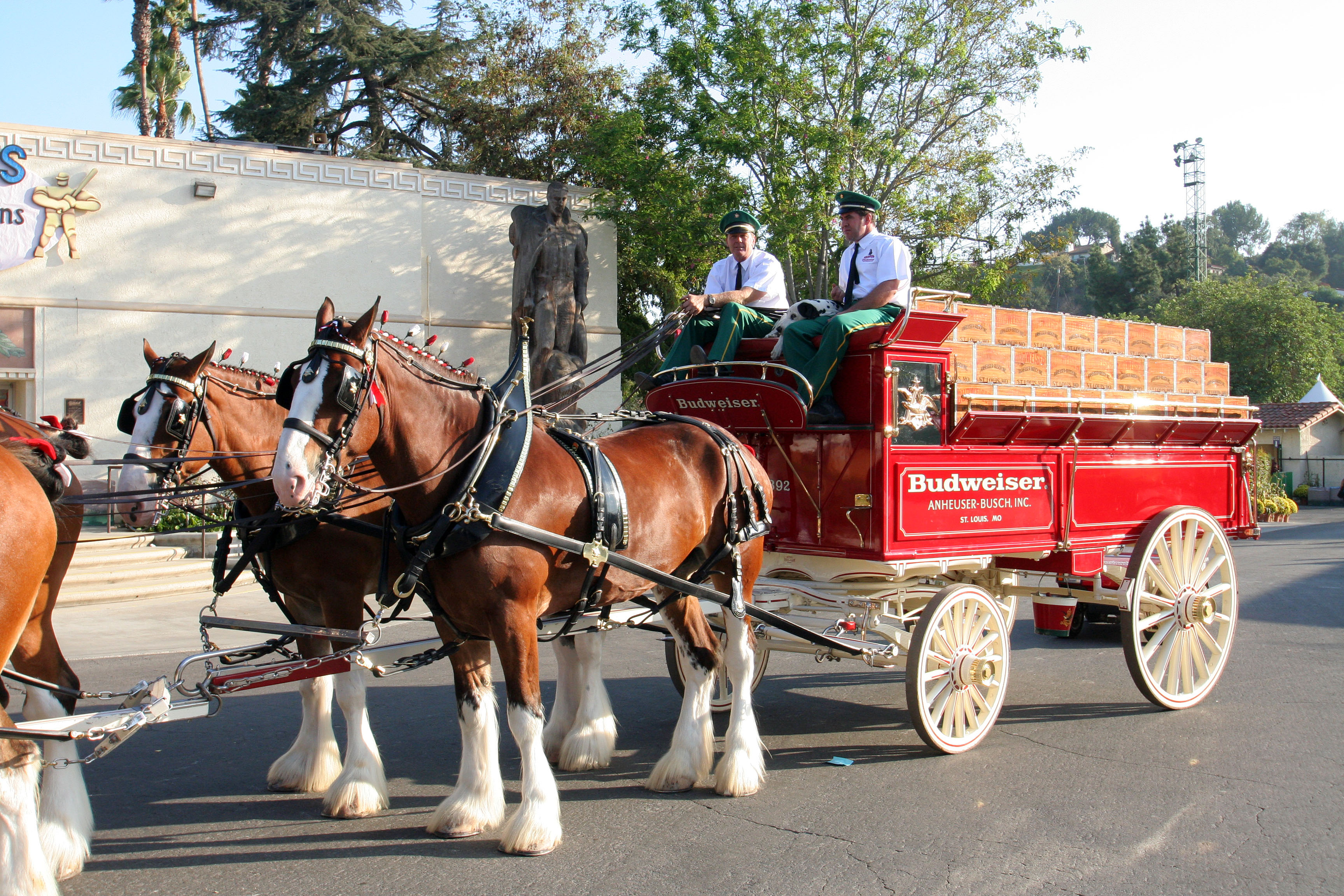 L.A. County Fair - Budweiser Clydesdales (0813)