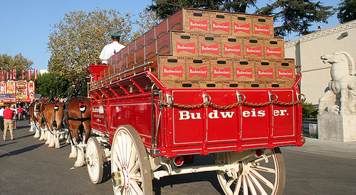 L.A. County Fair - Budweiser Clydesdales (0816)