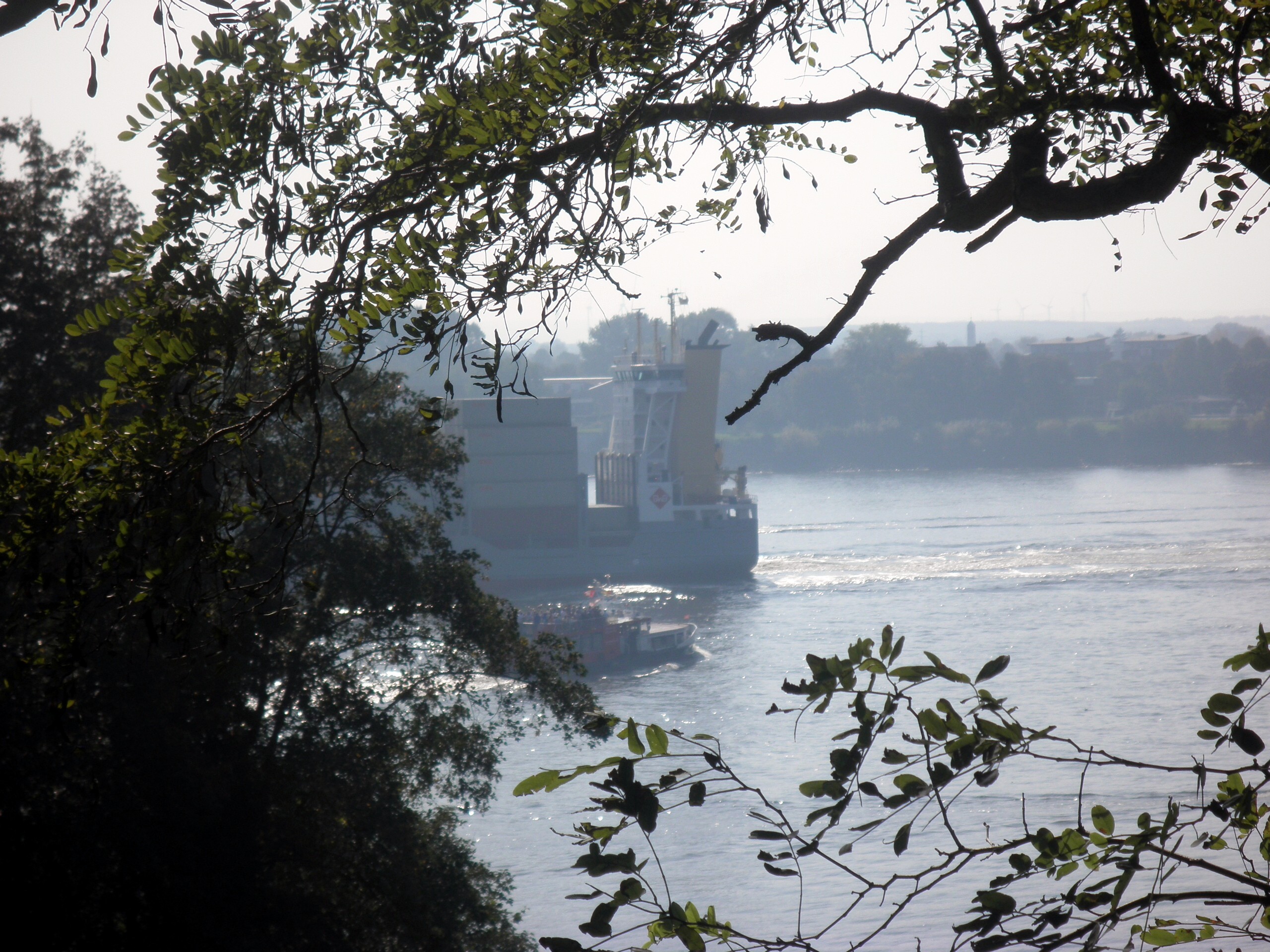 Blick auf die Elbe