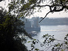 Blick auf die Elbe