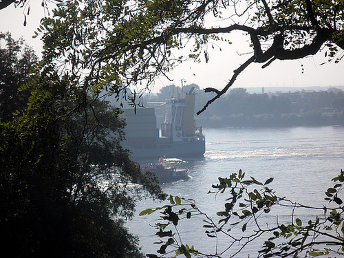 Blick auf die Elbe