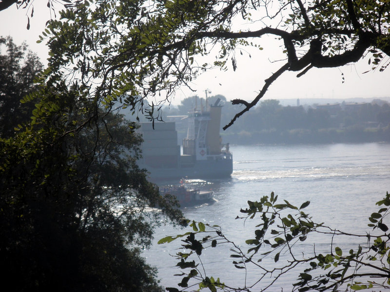 Blick auf die Elbe