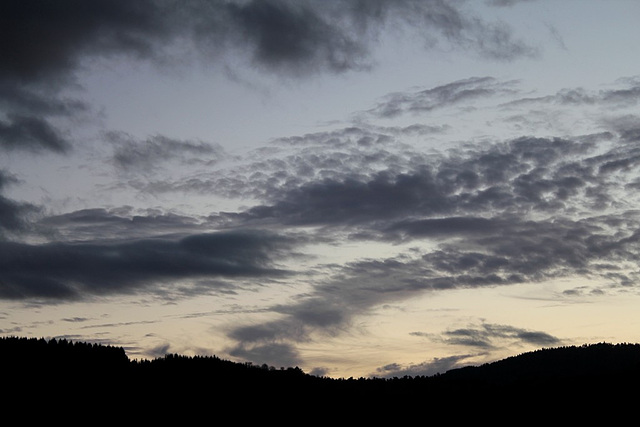 Les moutons gris du crépuscule (3)