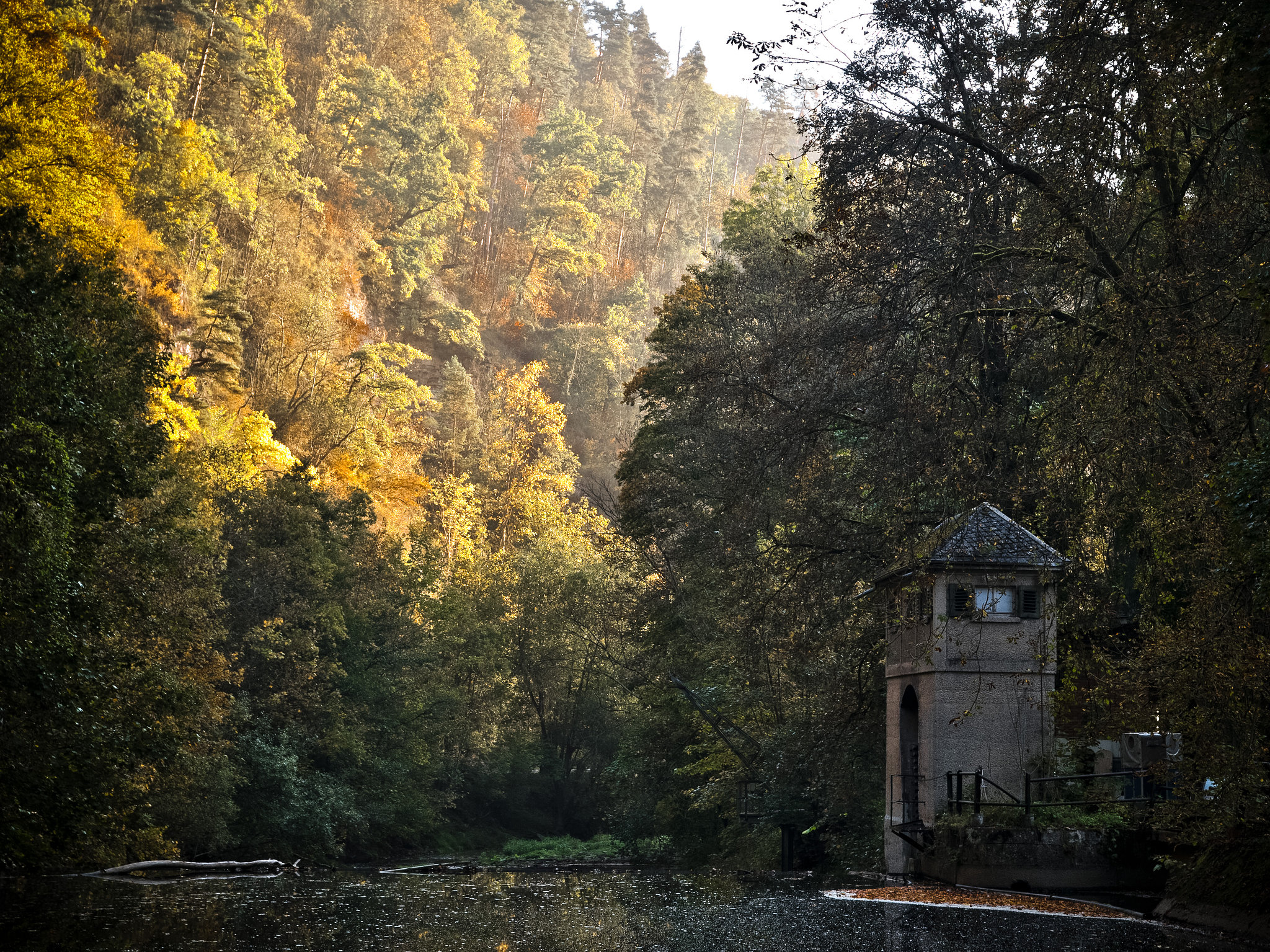 frühherbst