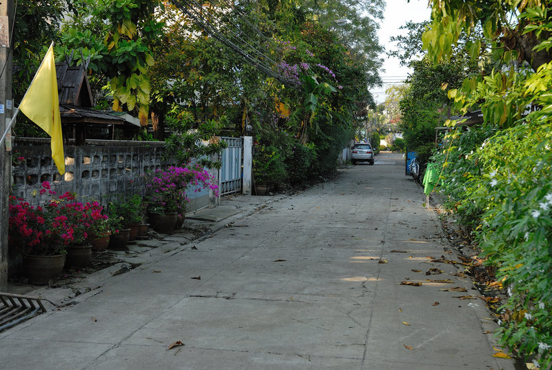 Our sideway outside after flood has gone