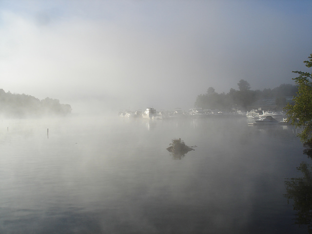 Early morning fog / Brouillard maritime au petit matin.