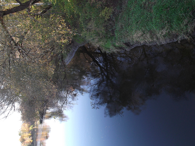 Lennoxville, Région de l'Estrie / Québec, CANADA / 8 octobre 2011